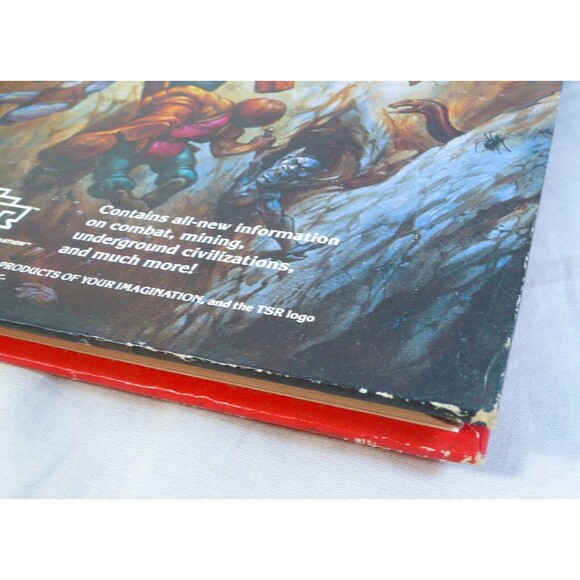 Advanced Dungeons and Dragons AD&D Dungeoneer's Survival Guide Douglas Niles TSR - Picture 2 of 9